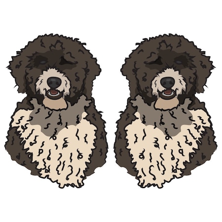 Signmission Spanish Water Dog Dog Decal, Dog Lover Decor Vinyl Sticker D-24-Spanish Water Dog